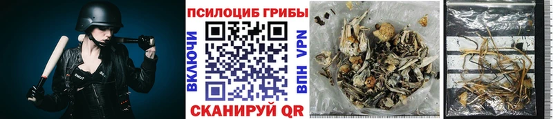 blacksprut вход Жердевка Галлюциногенные грибы MAGIC MUSHROOMS